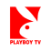 Le programme télé de PLAYBOY TV ce soir